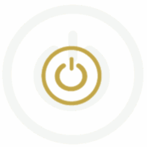 DOT Number Reactivation